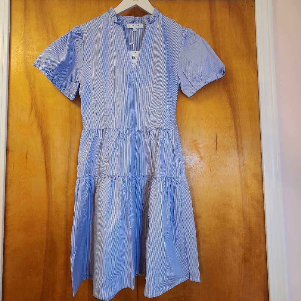 Taylor Tillman Women's Everly Dress in Blue Stripe, Size XS, $194 NWT